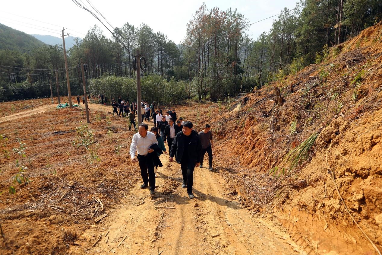 不負春光好，搶播萬畝林 ——將樂縣村企合作造林工作現場會在福建金森召開