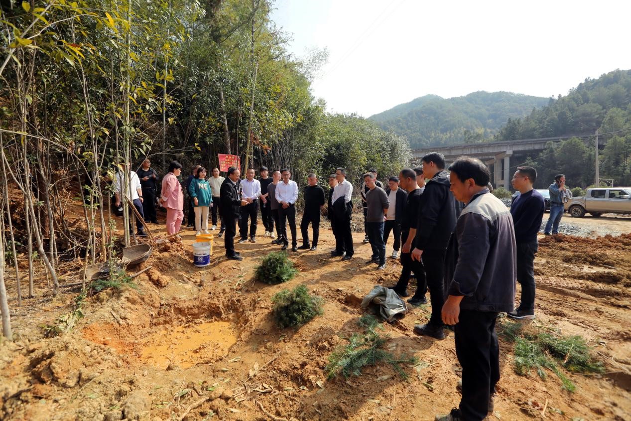不負春光好，搶播萬畝林 ——將樂縣村企合作造林工作現場會在福建金森召開