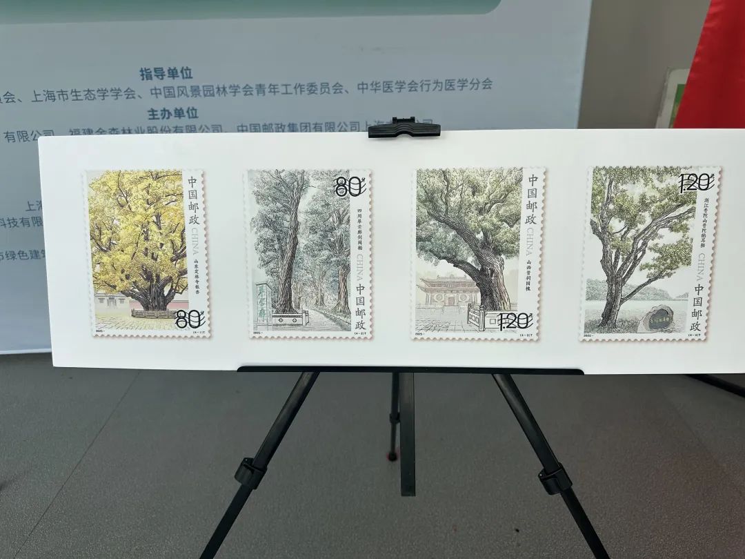 全國生態日來了！福建金森攜手舉辦上?！吧胶Ｍ铡ば雍糜心恪被顒?/></p><p style=